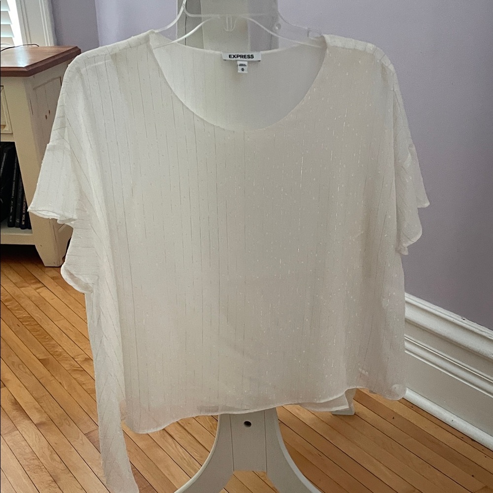 Express Women's Ivory Sheer Blouse